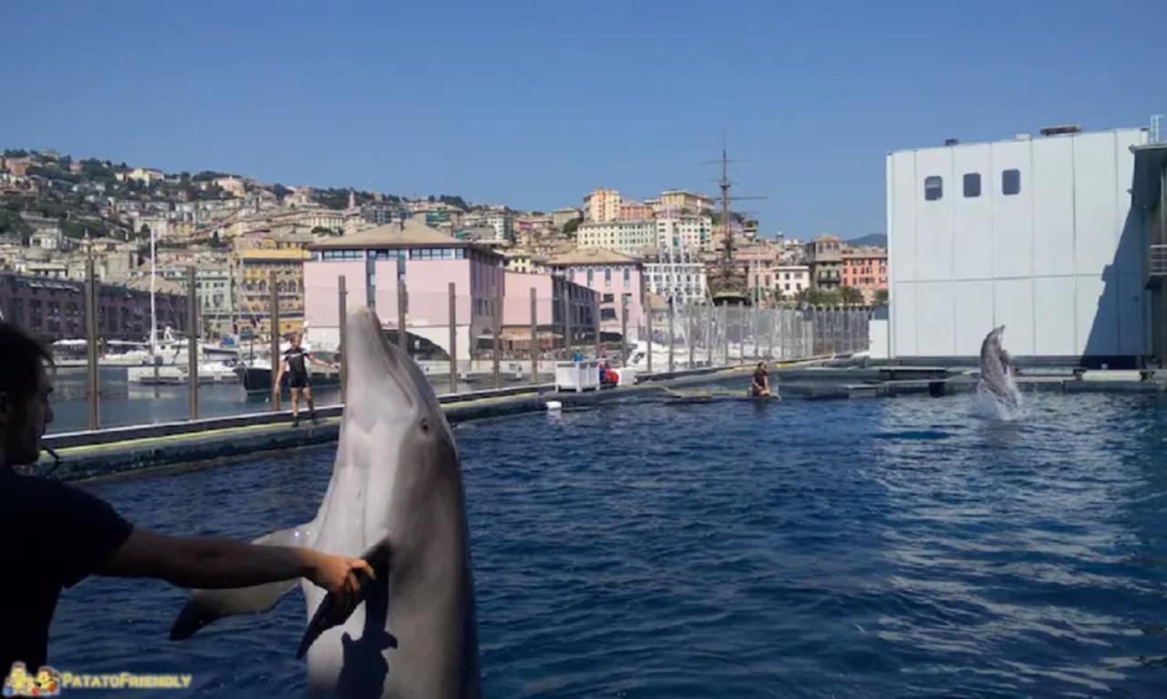 Apt Aquarium Leilighet Genova Eksteriør bilde